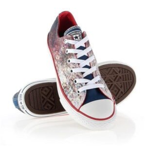 Converse Chuck Taylor All Star Jr 647644C Multicolor